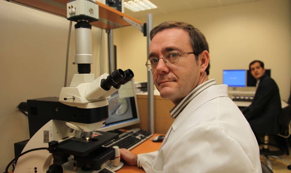 Investigadores del CIBIR demuestran la eficacia de un nuevo tratamiento contra el cáncer de colon 2