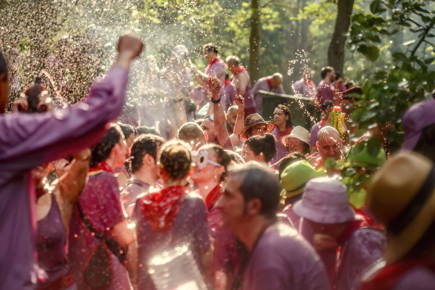 FOTOS: Haro gana una Batalla del Vino más 19 FOTOS: Haro gana una Batalla del Vino más 19