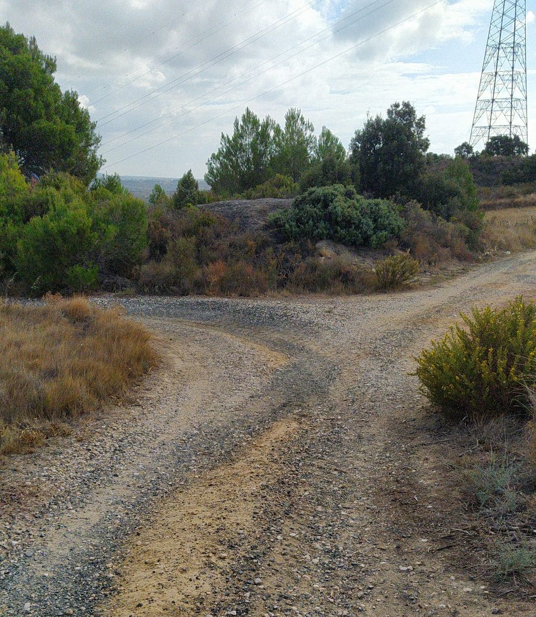 Términos de Haro: las estribaciones meridionales de los Obarenes (II) 5