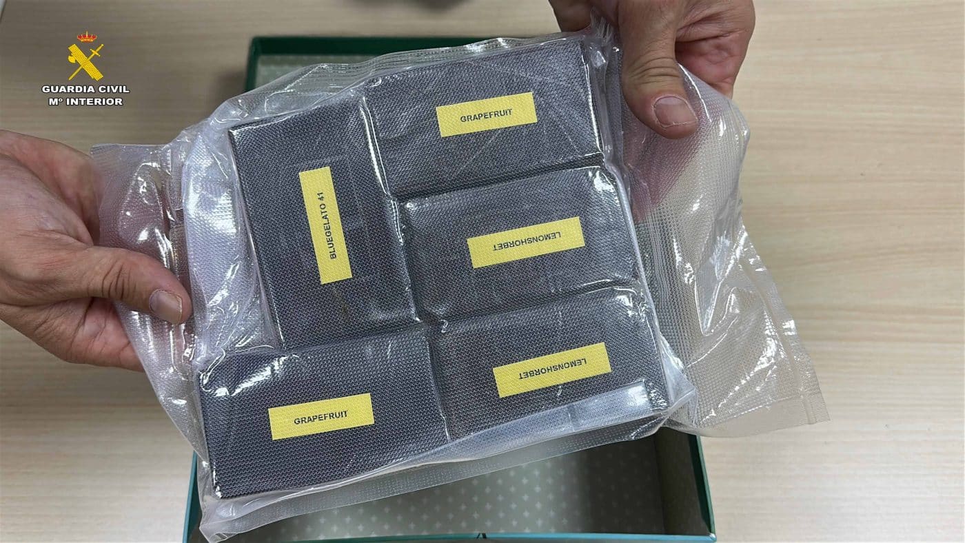 La Guardia Civil intercepta en Logroño un paquete postal con más de medio kilo de hachís 2
