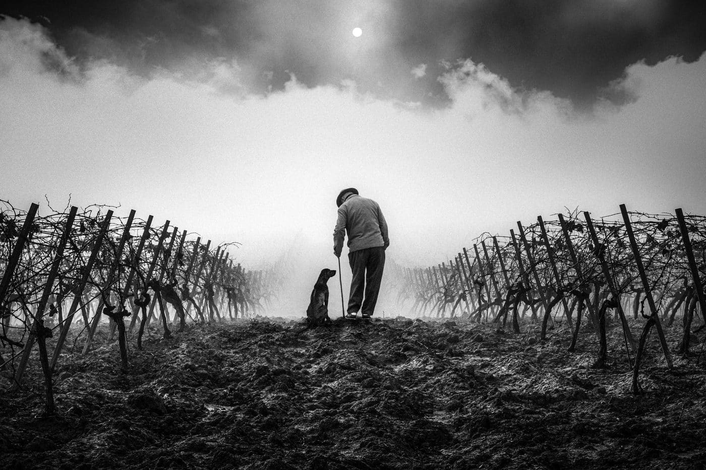 La malagueña Araceli Avilés, con 'La Dama', logra el primer premio del Concurso de Fotografía 'El Rioja y los 5 Sentidos' 7