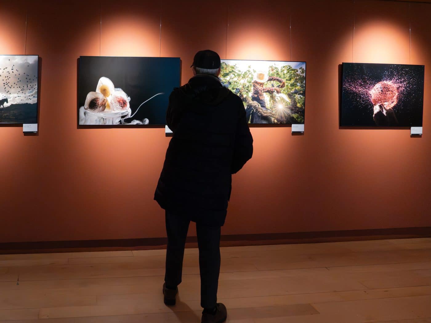 La malagueña Araceli Avilés, con 'La Dama', logra el primer premio del Concurso de Fotografía 'El Rioja y los 5 Sentidos' 8