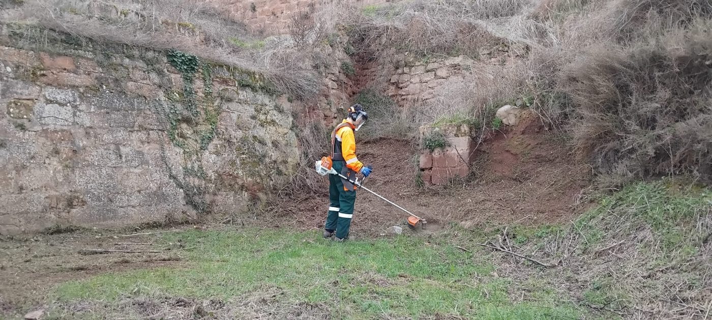 Alumnado del IES Villegas de Nájera realizan labores de limpieza en el alcázar 4