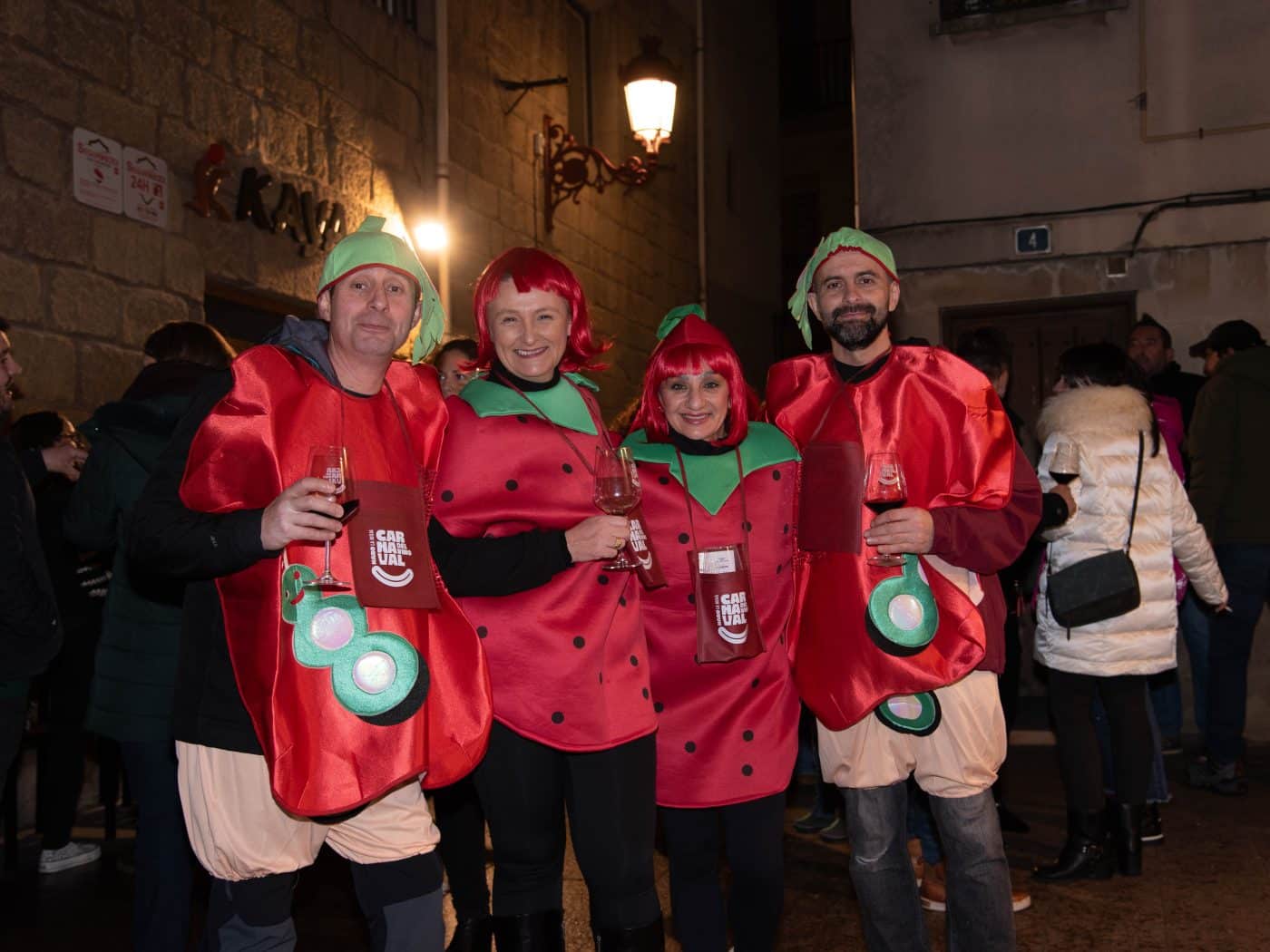 FOTOS: Ni el frío ni la lluvia apagan la fiesta del Carnaval del Vino de Haro 3