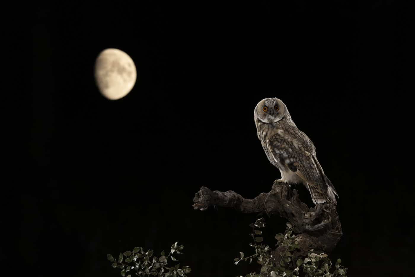 FOTOS: El Concurso Fotográfico Naturaleza de La Rioja reúne 1.120 imágenes de 195 autores en su XIX edición 8