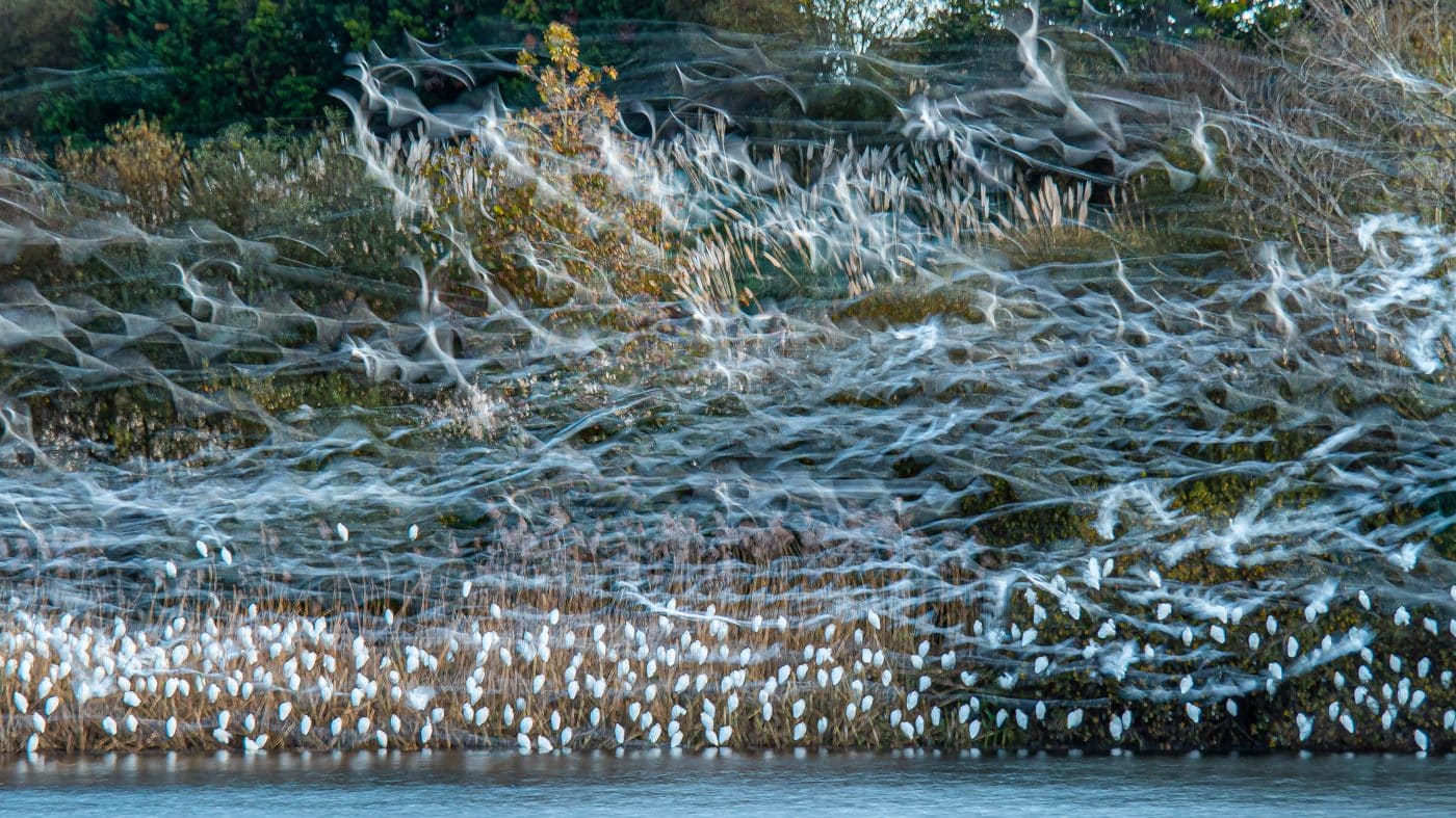 FOTOS: El Concurso Fotográfico Naturaleza de La Rioja reúne 1.120 imágenes de 195 autores en su XIX edición 5