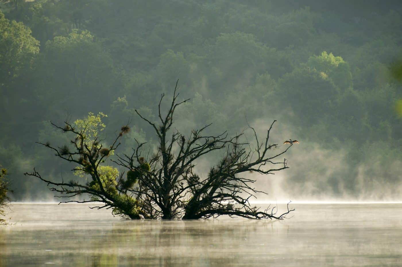 FOTOS: El Concurso Fotográfico Naturaleza de La Rioja reúne 1.120 imágenes de 195 autores en su XIX edición 2