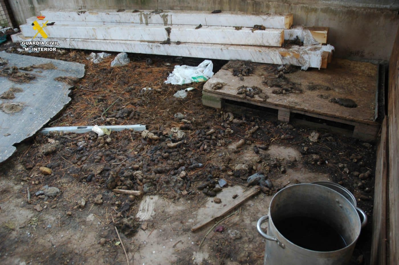 Investigado por maltrato animal tras hallar siete perros en un estado "deplorable" en una parcela de Albelda 3 Investigado por maltrato animal tras hallar siete perros en un estado "deplorable" en una parcela de Albelda 3