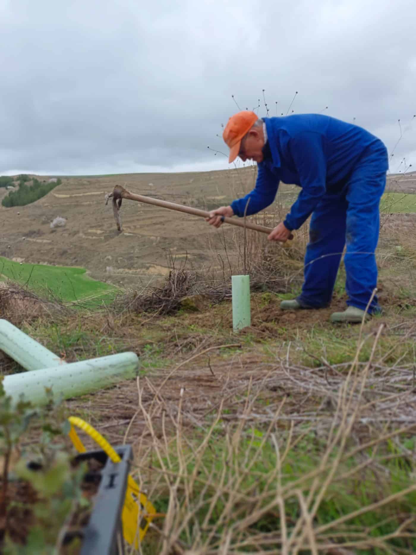 Treviana celebra su tercer Día del Árbol con la plantación de 120 nuevos ejemplares en La Solana 4