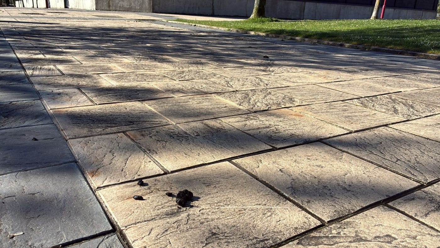 BUZÓN CIUDADANO: Decenas de heces de oveja en la calle Rosalía de Castro en Haro 5