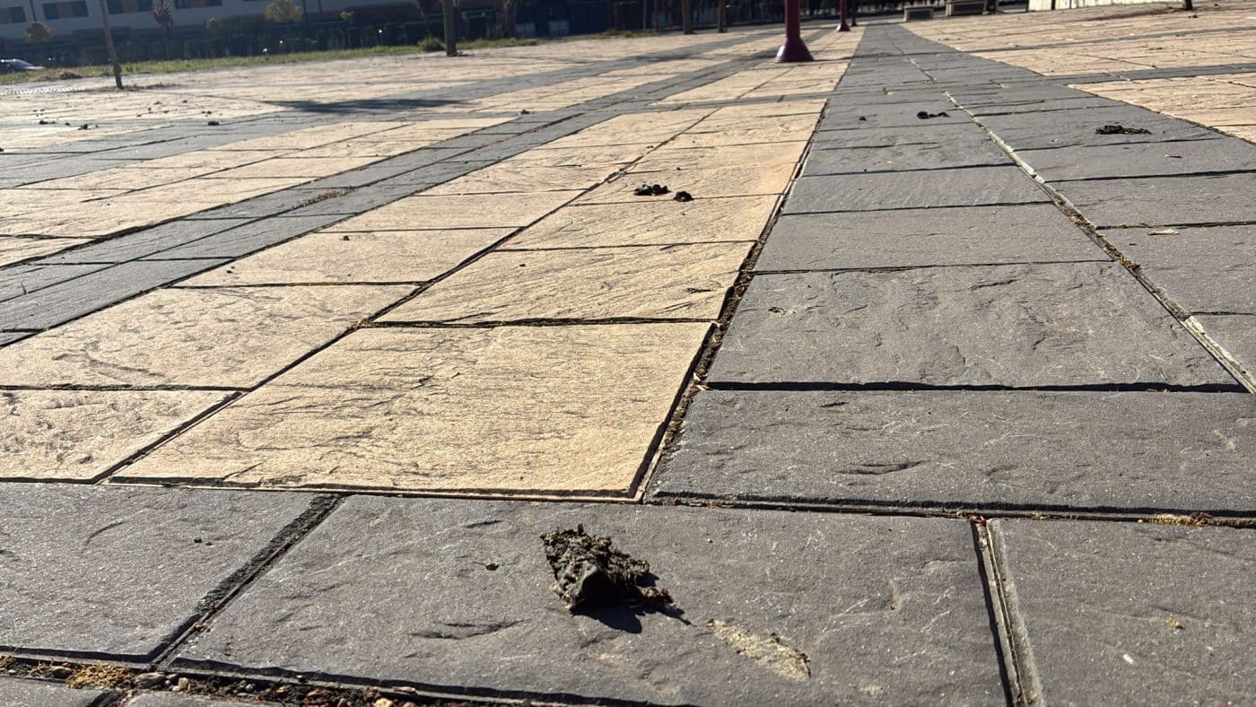 BUZÓN CIUDADANO: Decenas de heces de oveja en la calle Rosalía de Castro en Haro 2