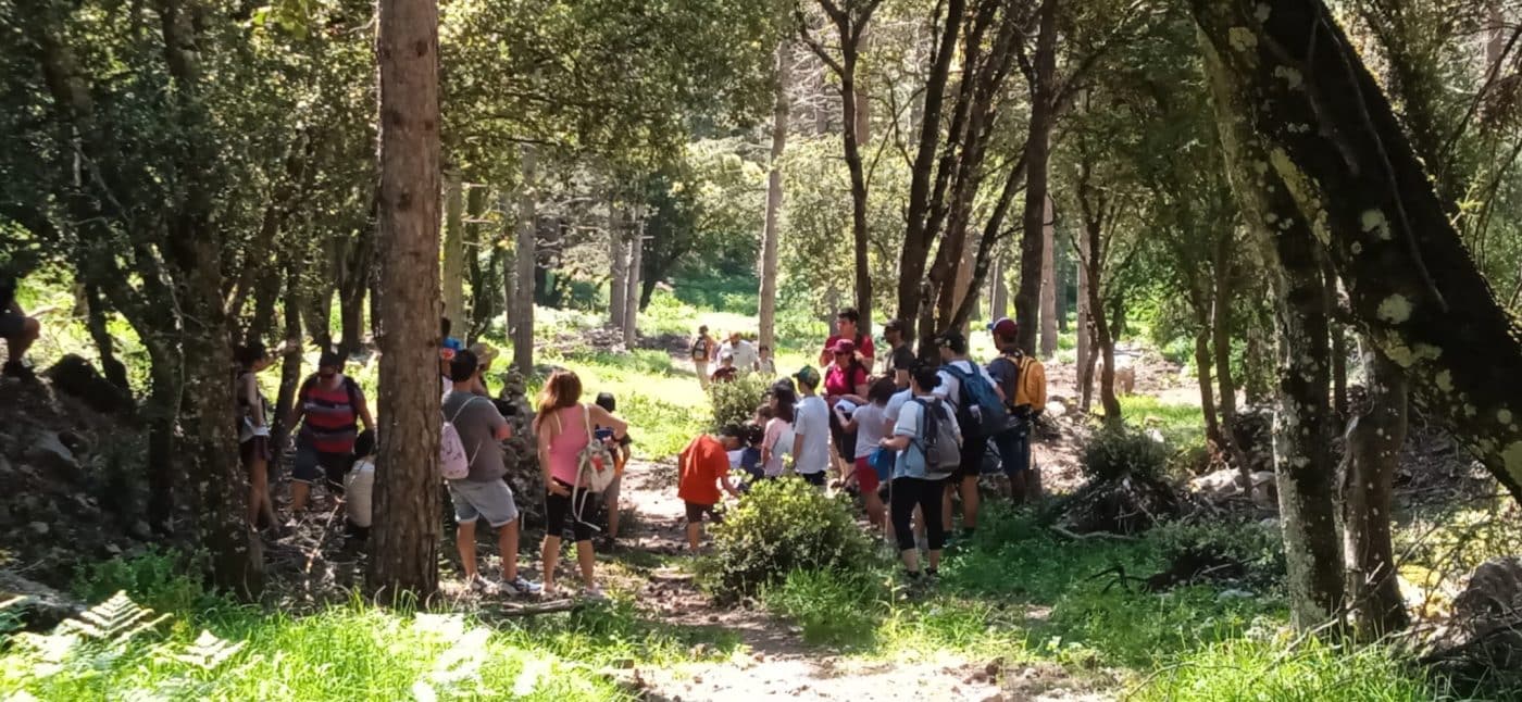 Casi 400 personas participan en la chiqui-ruta 'La Rosa de los vientos' entre Ábalos y Peña la Rosa 13