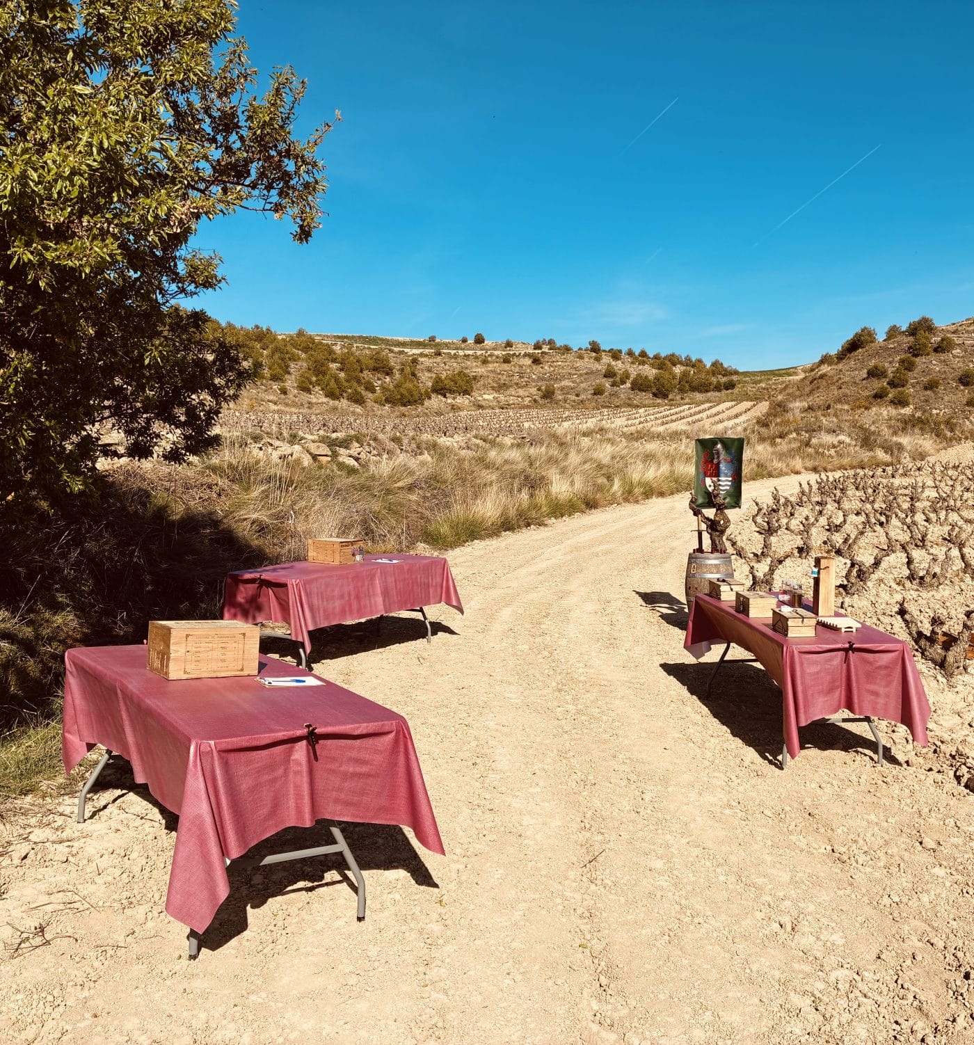 Escape Rioja y Mostea se unen para brindar una experiencia 'muy a la riojana' en torno al juego 'Alquimium' 3