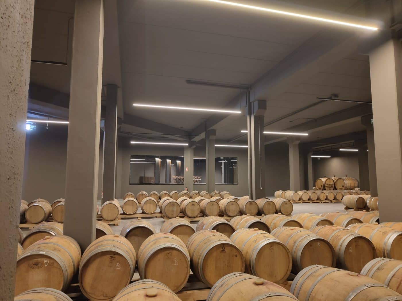 Gómez Cruzado culmina la ampliación de sus instalaciones en Haro con una inversión de más de 4,5 millones de euros 9