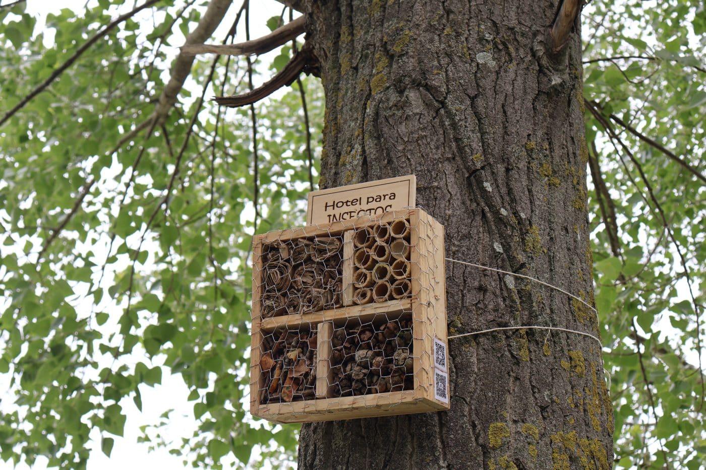 Haro estrena una red de hoteles de insectos para luchar contra el cambio climático 9