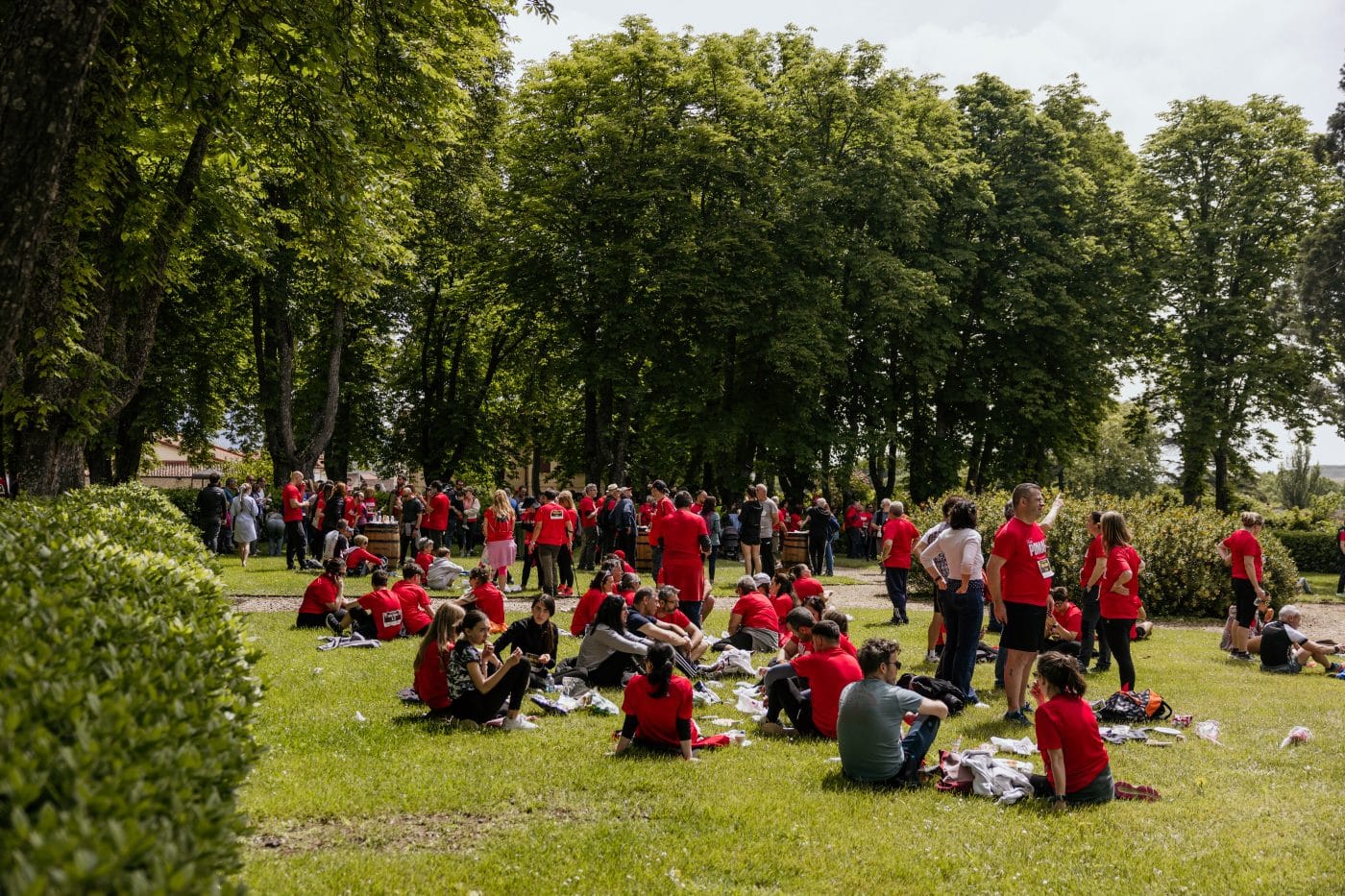 La III Carrera Solidaria Viña Pomal bate récord en Haro: más de 700 participantes y 3.000 euros recaudados para FARO 4
