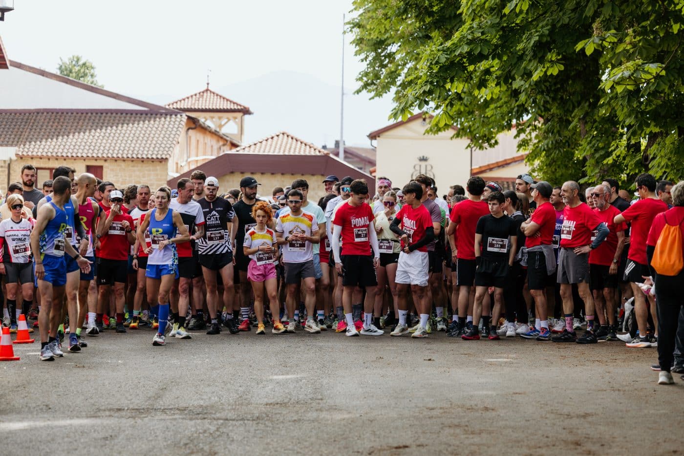 La III Carrera Solidaria Viña Pomal bate récord en Haro: más de 700 participantes y 3.000 euros recaudados para FARO 16