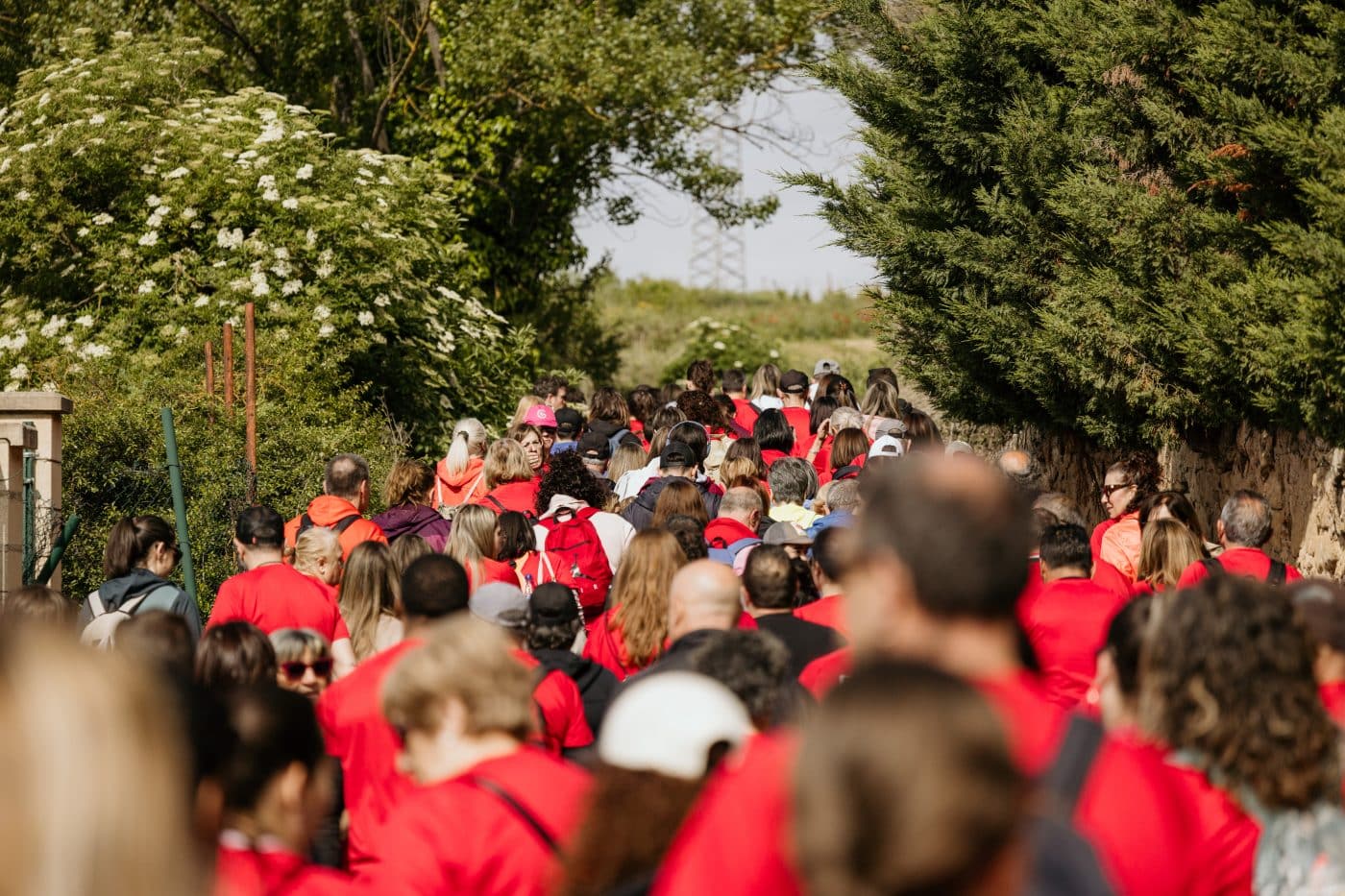 La III Carrera Solidaria Viña Pomal bate récord en Haro: más de 700 participantes y 3.000 euros recaudados para FARO 18