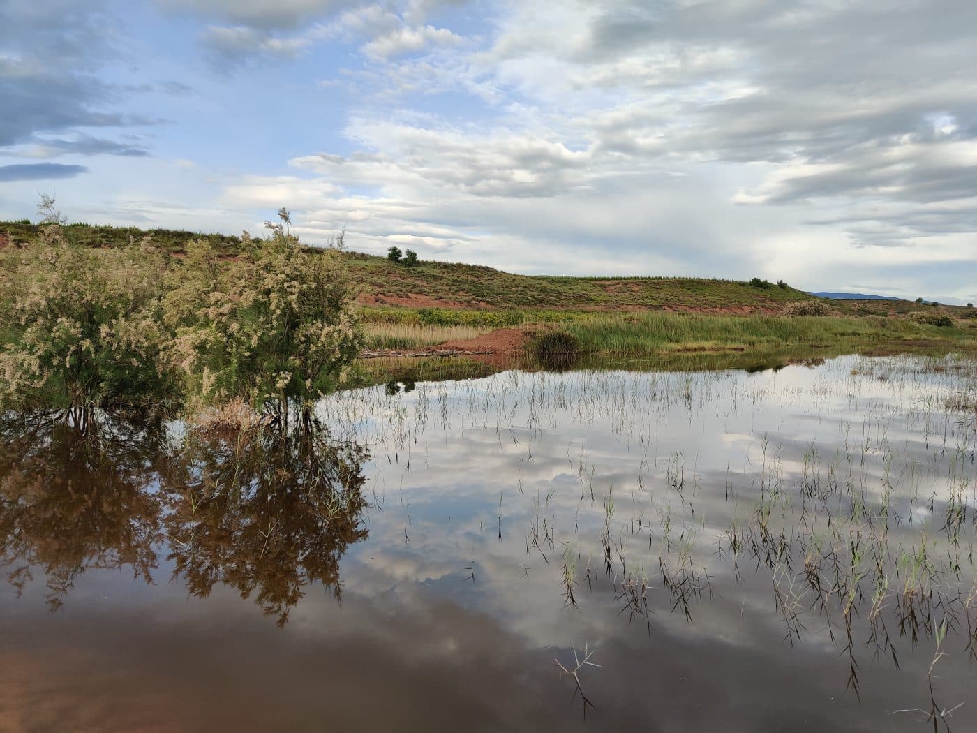 ‘Pasea La Rioja’ propone rutas y actividades para descubrir la biodiversidad de la región este fin de semana 2
