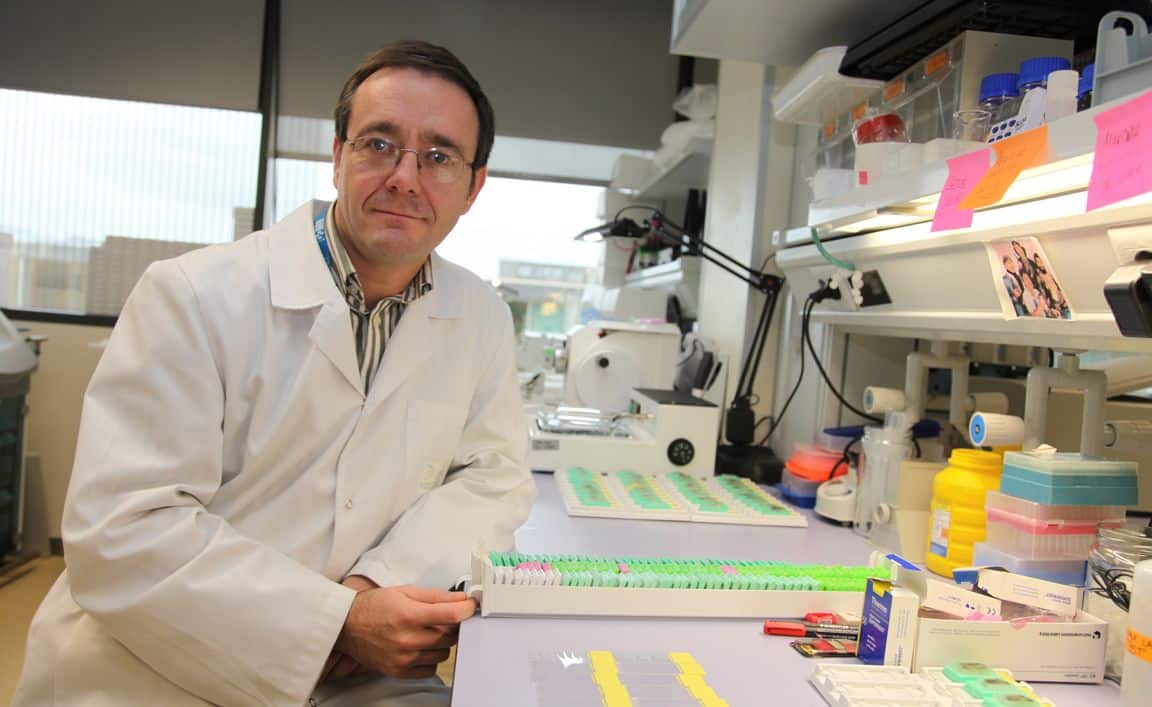 Investigadores del CIBIR demuestran la eficacia de un nuevo tratamiento contra el cáncer de colon