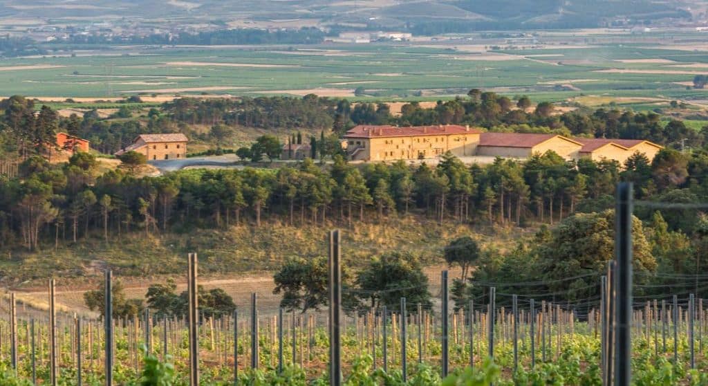 Bodegas Hacienda El Ternero celebra este domingo una jornada de puertas abiertas