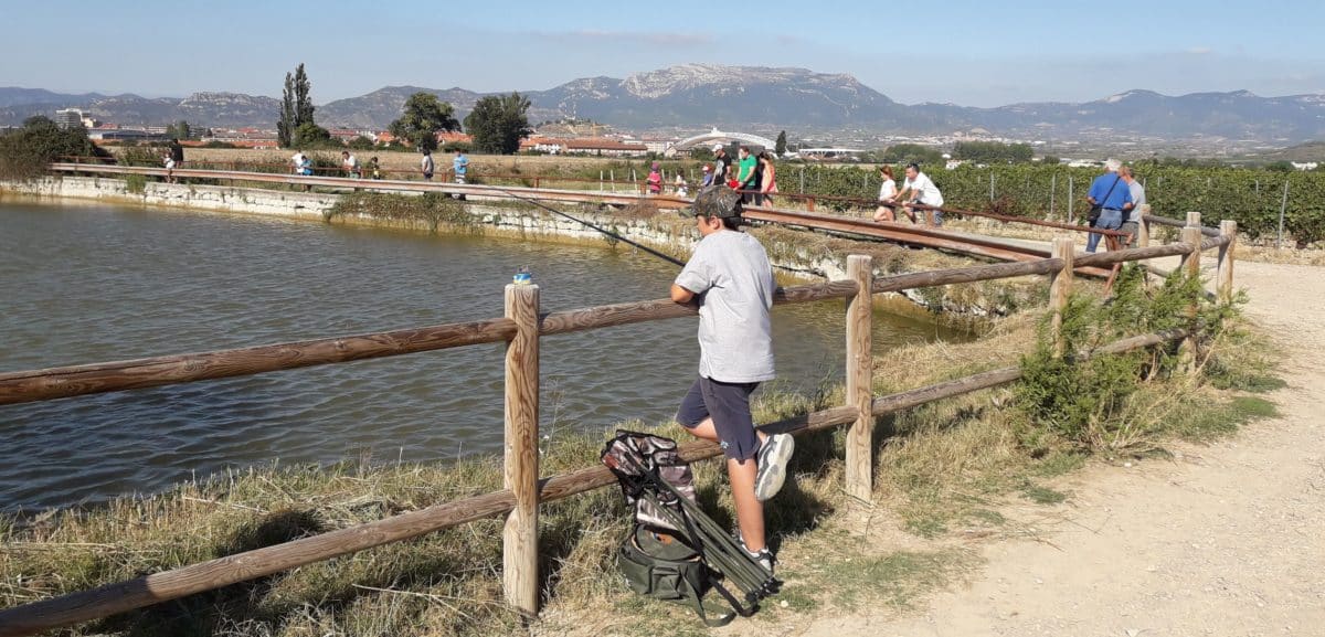 Casi 40 niños participan en los Concursos de Pesca de la Sociedad Riojalteña de Caza y Pesca 13