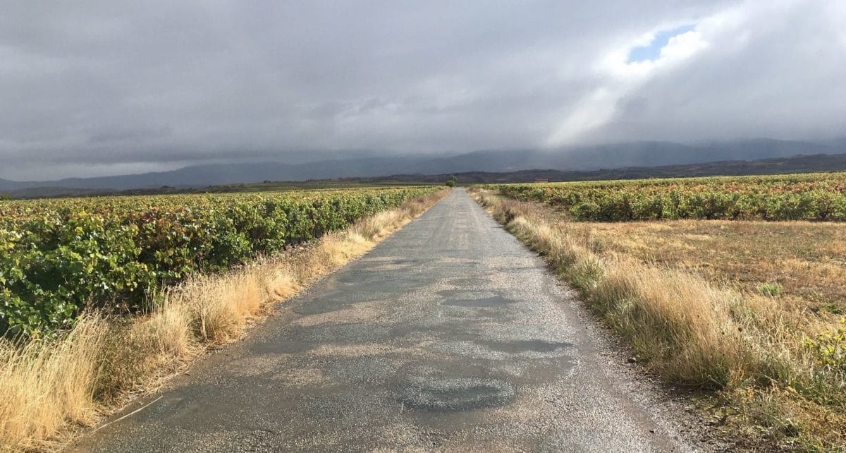 Mejorado el estado de conservación de la vía entre Cordovín y Canillas de Río Tuerto para “aumentar la seguridad vial”