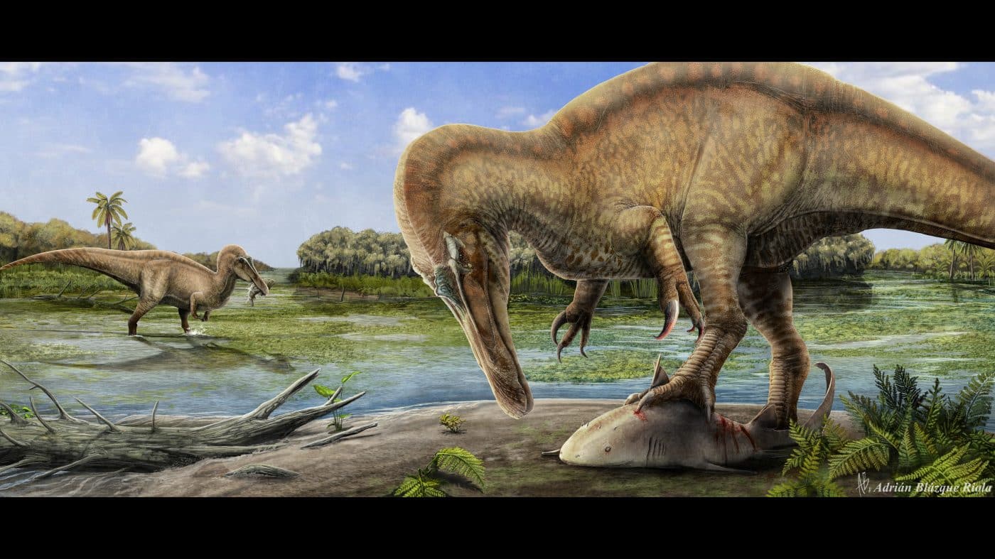 ‘Riojavenatrix lacustris’: El primer dinosaurio nombrado en La Rioja es un espinosáurido de hasta 8 metros de longitud