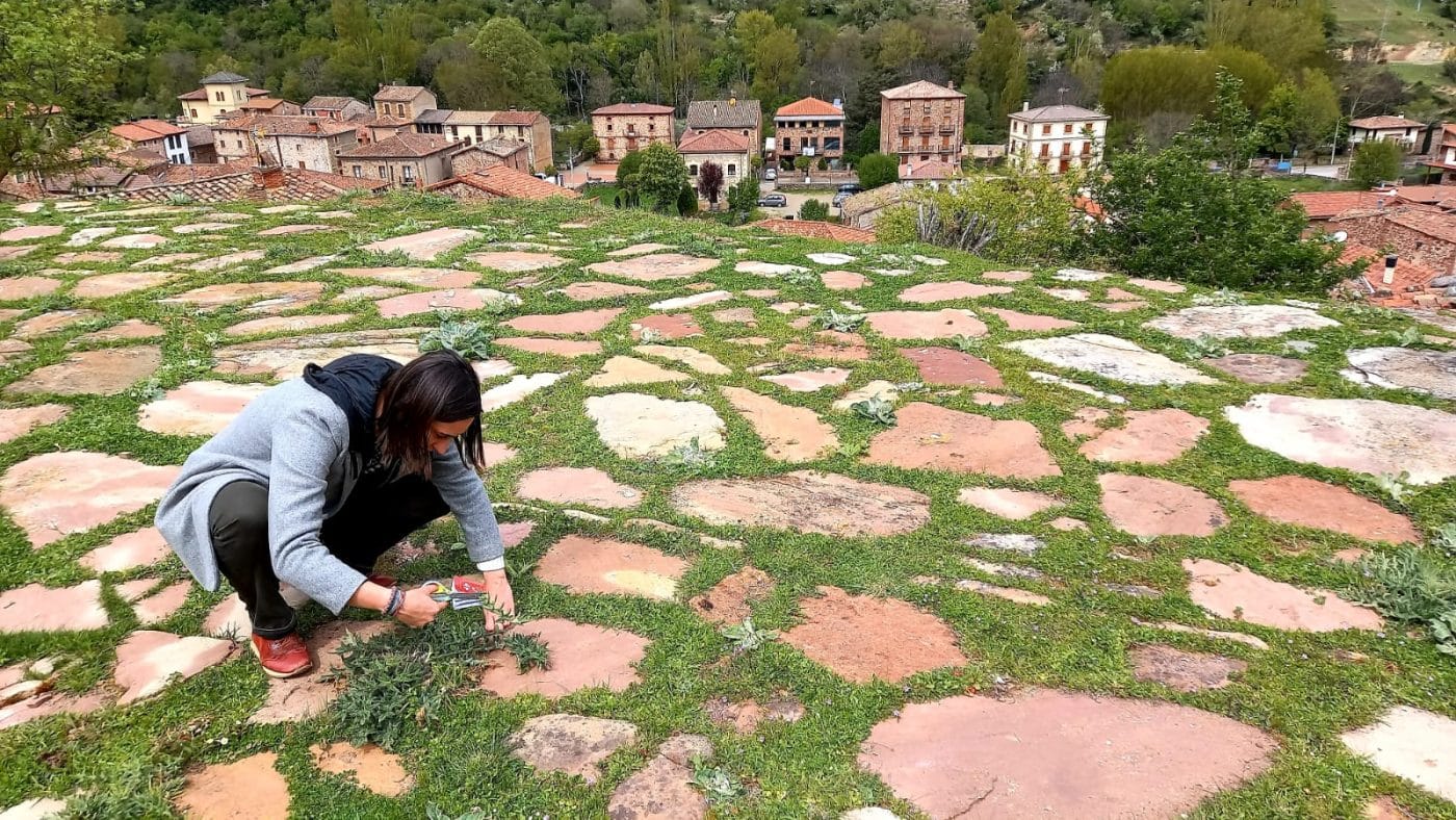 'Flora Memoriae': Un herbario comunitario que reivindica el saber femenino en el Alto Najerilla 1