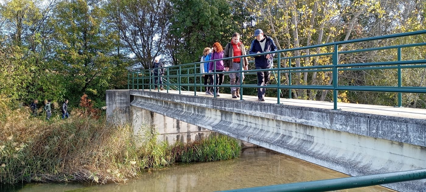 Haro se suma a la Semana de la Salud con yoga al aire libre y paseos saludables
