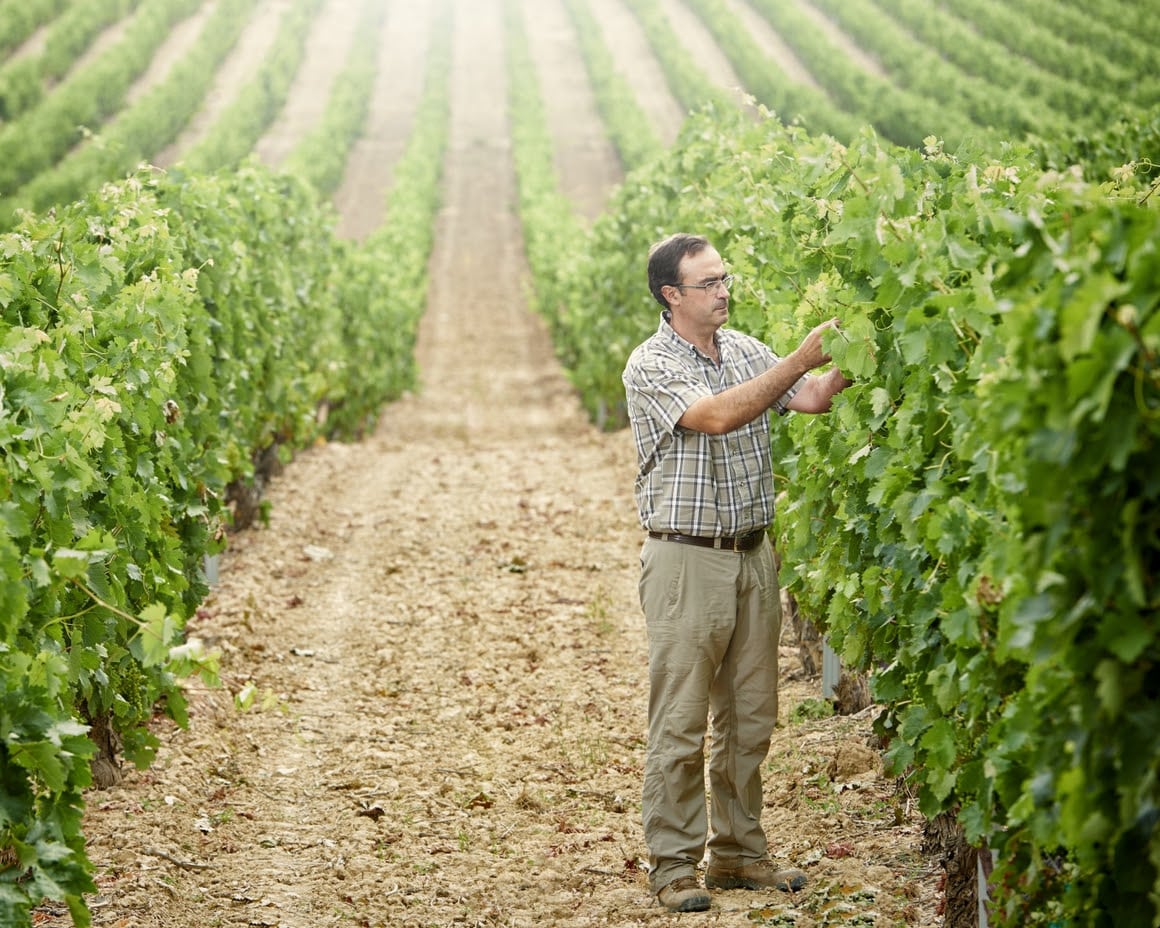 Tim Atkin distingue a Roberto Frias, de Bodegas La Rioja Alta, como Viticultor del Año