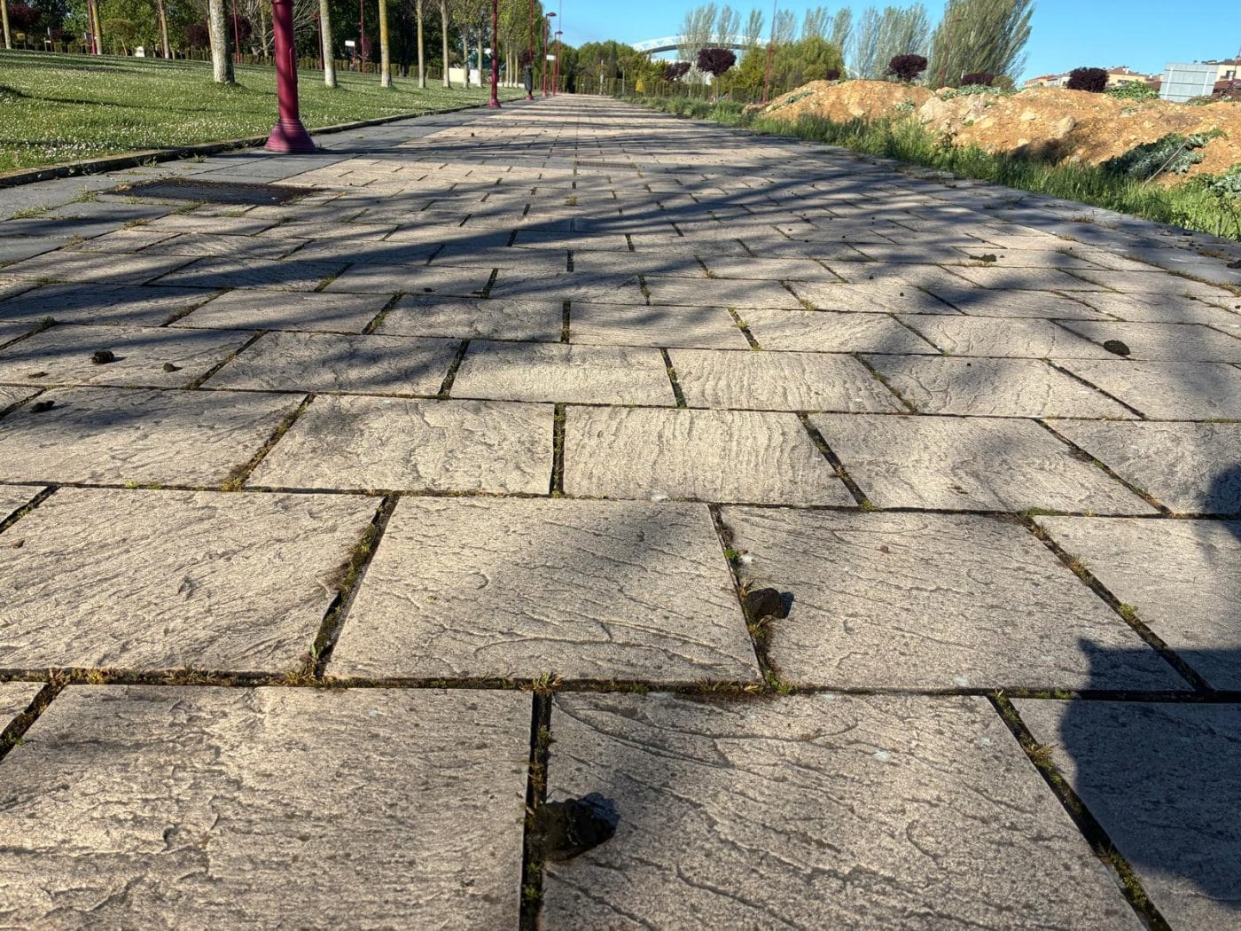 BUZÓN CIUDADANO: Decenas de heces de oveja en la calle Rosalía de Castro en Haro