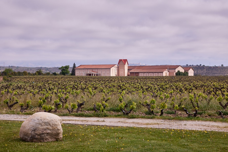 Finca Valpiedra une vino, flores y paisaje en una nueva experiencia enoturística